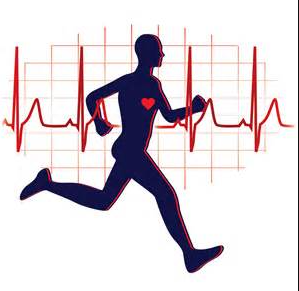 Kupas Tuntas Olahraga Kardio, Sangat Baik untuk Kesehatan Jantung