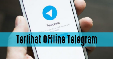 Cara Supaya Tidak Terlihat Online Di Telegram