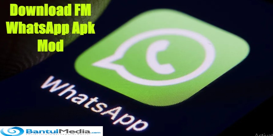 Download FM WhatsApp Apk Mod 